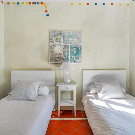 Colliure فيلة أذيخي