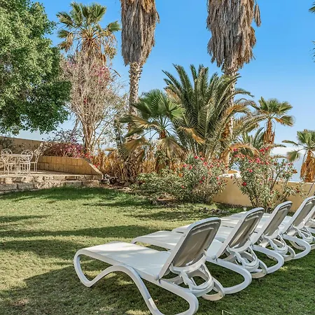 فيلة Colliure أذيخي